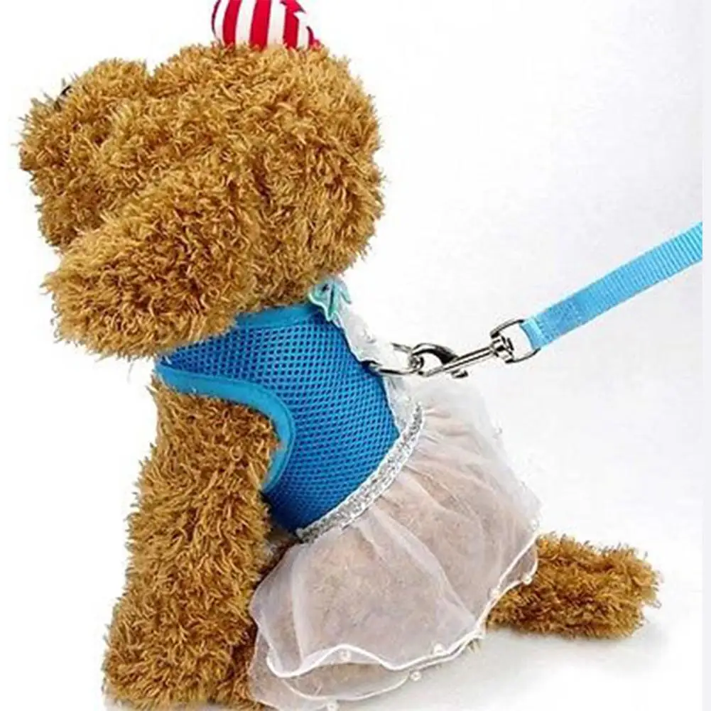 Hobbyлейн Изысканная сетка собачья грудь поводок домашнее животное платье юбка