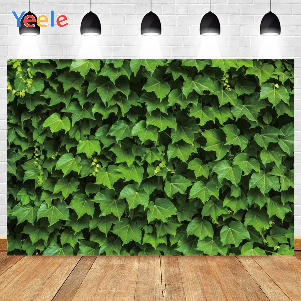 Фотофон Yeele с изображением зеленых листьев Тигра для украшения комнаты|Фон