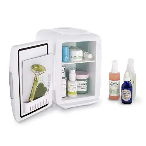 

Mini Fridge Electric Cooler and Warmer (4 Liter / 6 Can): AC/DC Portable Thermoelectric System w/ Exclusive On the Go USB Power
