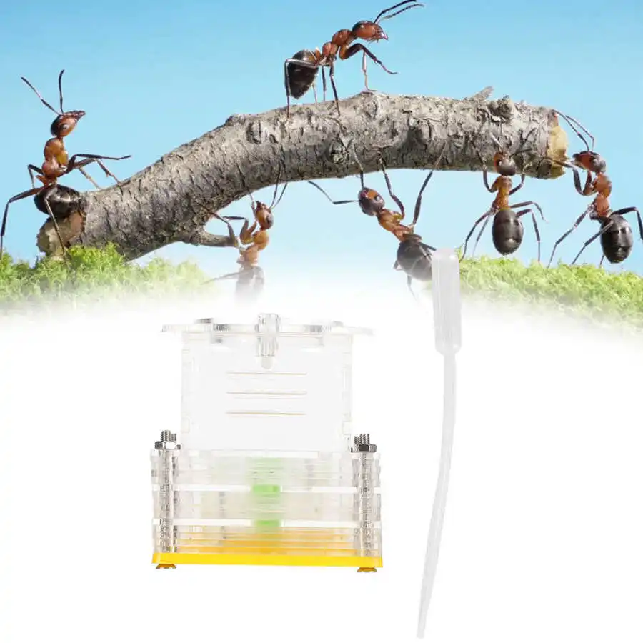 3D акриловый ящик для насекомых муравей гнездо кормления Прозрачный чехол дома