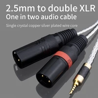 yyaudio hifi balance 2 5mm to 2 xlr male 3 pin audio cable canare cable with magnetic ring for mp3 pha2a wm1a 1z zx300a dac amp