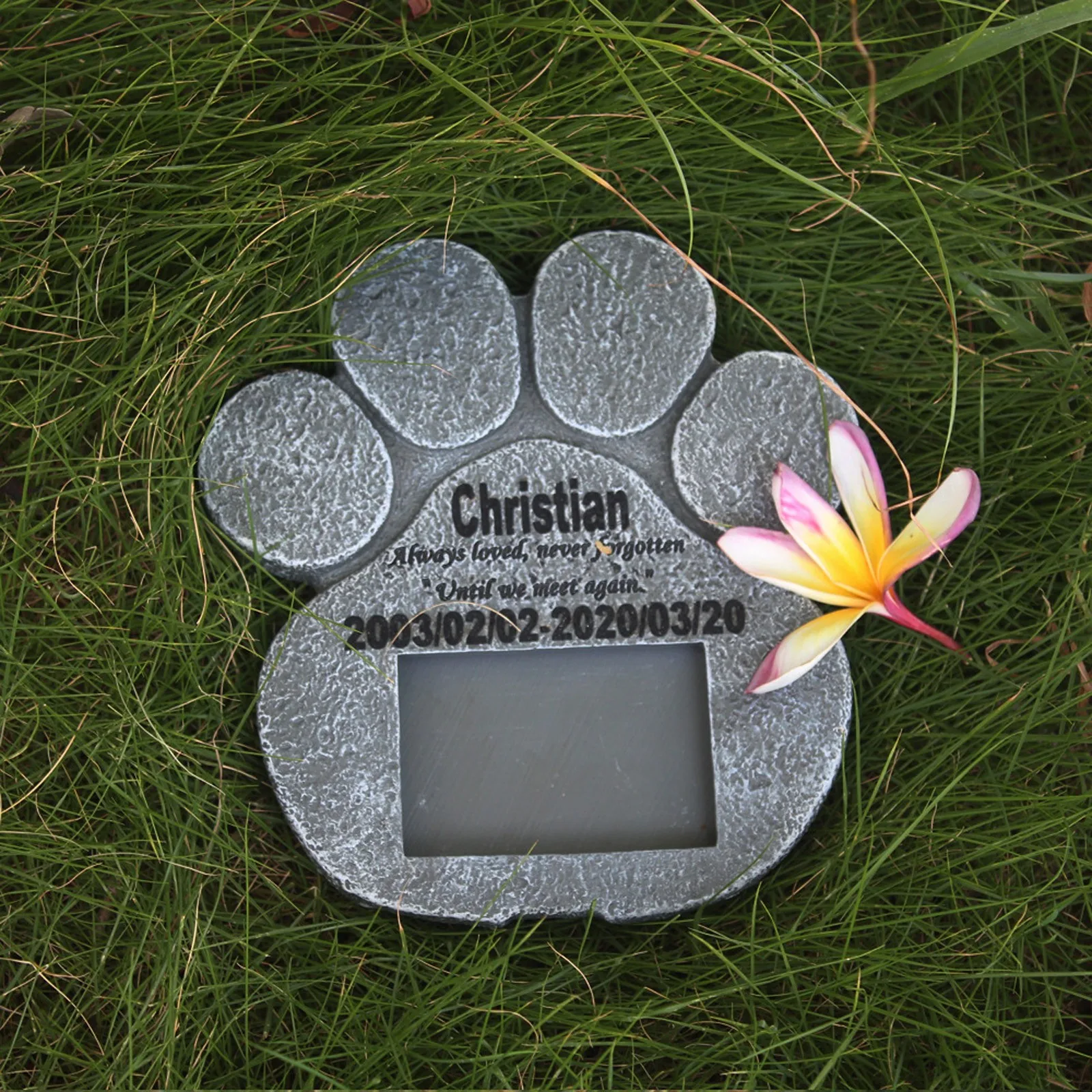 Памятный камень в виде лапы для домашних животных фоторамка с гравировкой