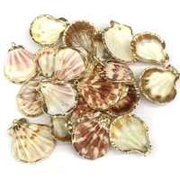 natural shell pendants fan shaped exquisite charms for jewelry making diy bracelet necklaces earrings accessories 30x35 35x40mm