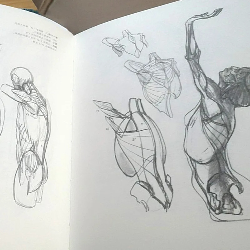 Книга для самостоятельного обучения художественная живопись эскиз |