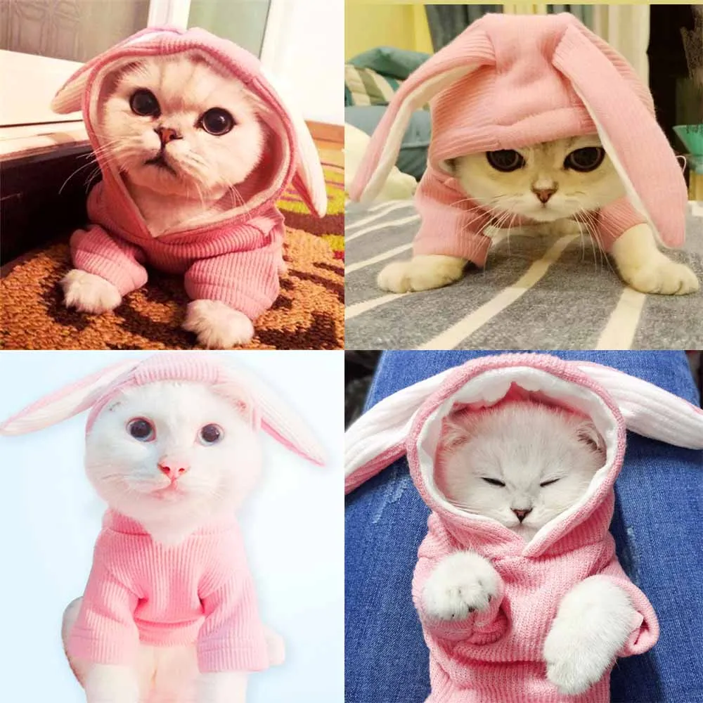 1 шт. костюм для собак и кроликов собаки кролика свитшот домашних животных одежда