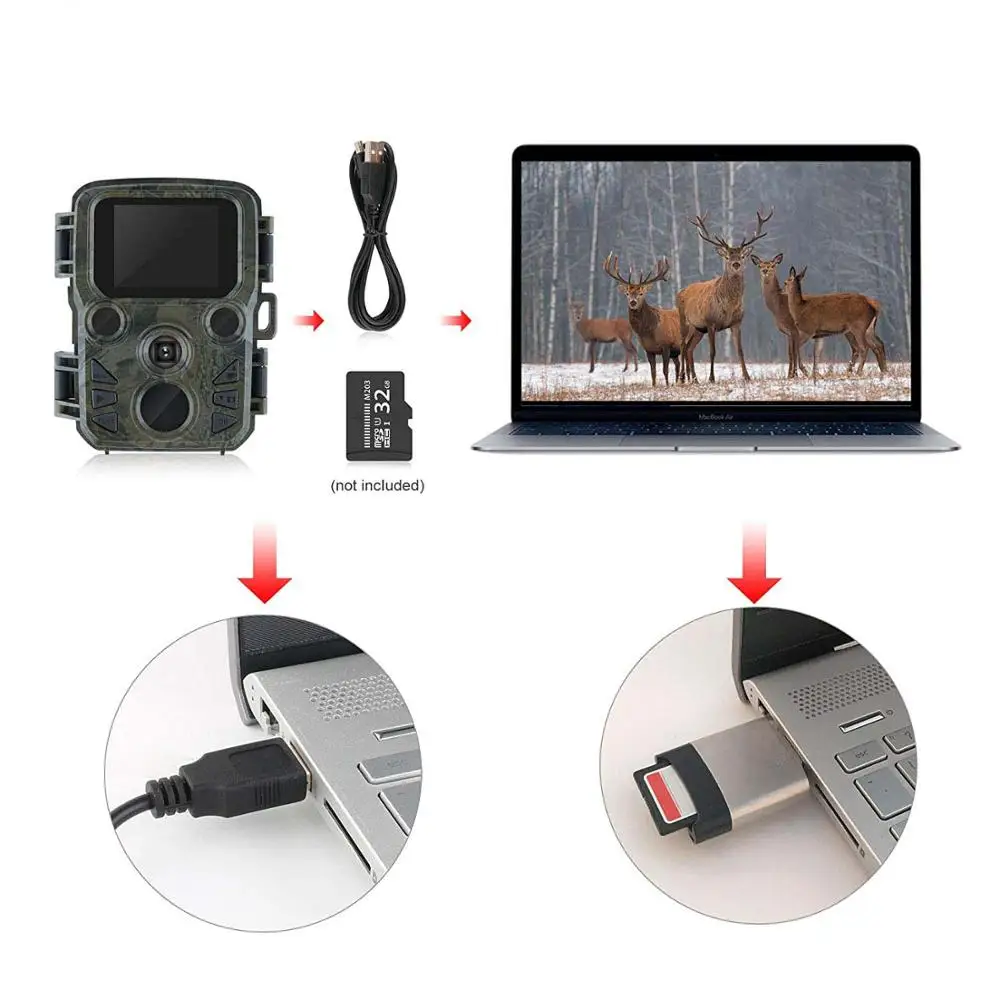 Мини ловушка для фотоловушки 16 МП 1080P IP66|Камеры охоты| |