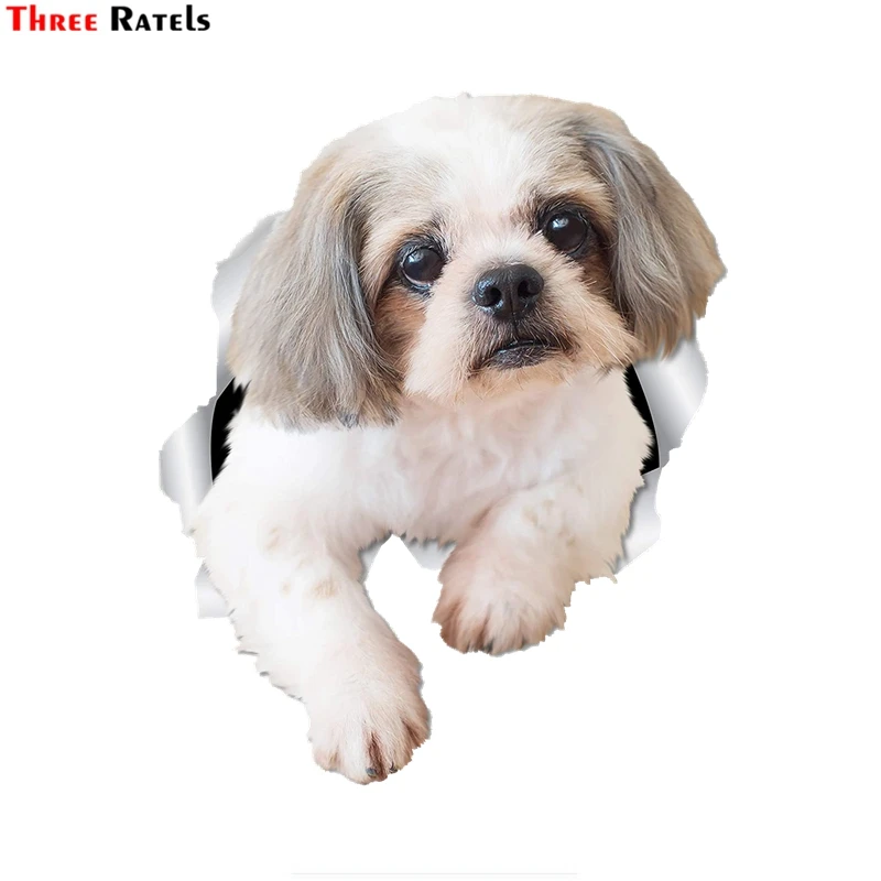 

3D наклейка для туалета Three Ratels 1072 с изображением любопытных собак Shih Tzu, Настенный декор из ПВХ, водостойкая наклейка для кухни и холодильник...