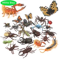 new simulation animal insect model mini animal centipede scorpion butterfly growth cycle ornaments kid cognitive educational toy