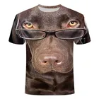 Camiseta с изображением собаки Camiseta casual 3DT для hombre Camiseta divertida Ropa urbana Talla grande 2021 Nuevo