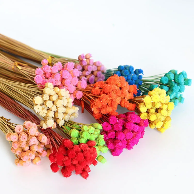 

50pcs fall decor Flower Natural Dried Flower Bouquet Home Decoration Real Flower Diy Flower Arrangement Flower home decoration