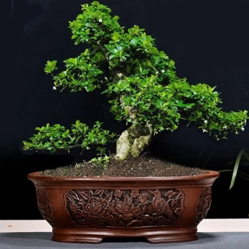 Ретро фиолетовый песок бонсай цветочный горшок большой крытый балкон простой