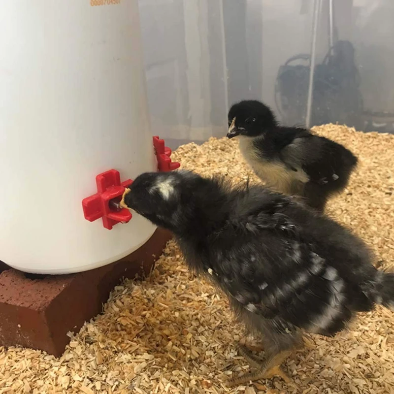 12 Упак. горизонтальные боковые автоматические соски для птицеводства чистая