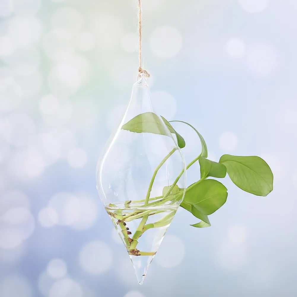 Подвесная стеклянная ваза подвесной Террариум растение цветок креативная