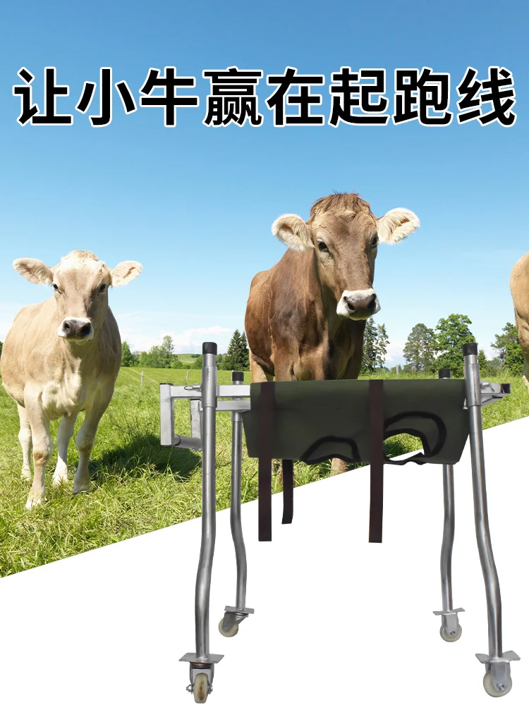 

Усиление икр ходунки икры реабилитационные грузовики икры стоячее оборудование принадлежности для крупного рогатого скота