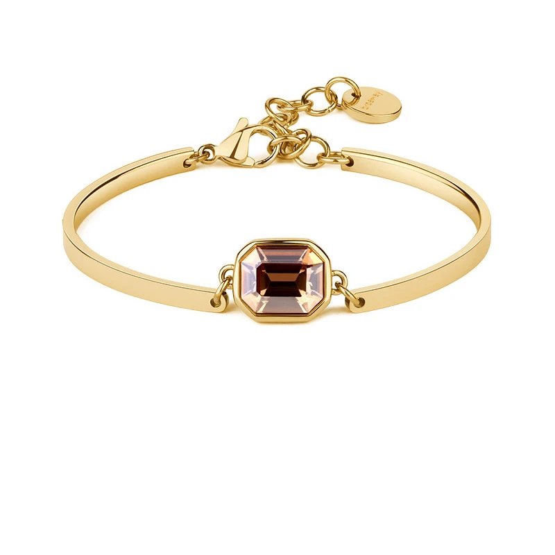 

Brosway Luxury Fashion Charms Modeling Rose Gold Chain Bracelet Female Crystal Titanium Steel Bracelets for Women Jewelry