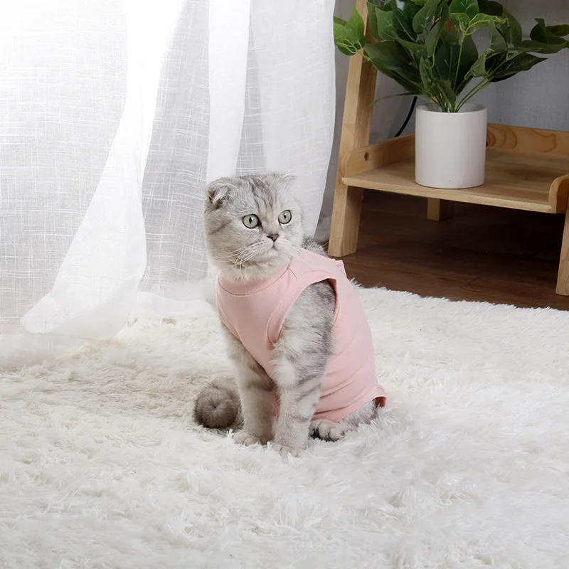 

После стерилизации восстановление с летней отлучением физиологический сервис для домашних животных анти-облизывание анти-офф одежда для л...