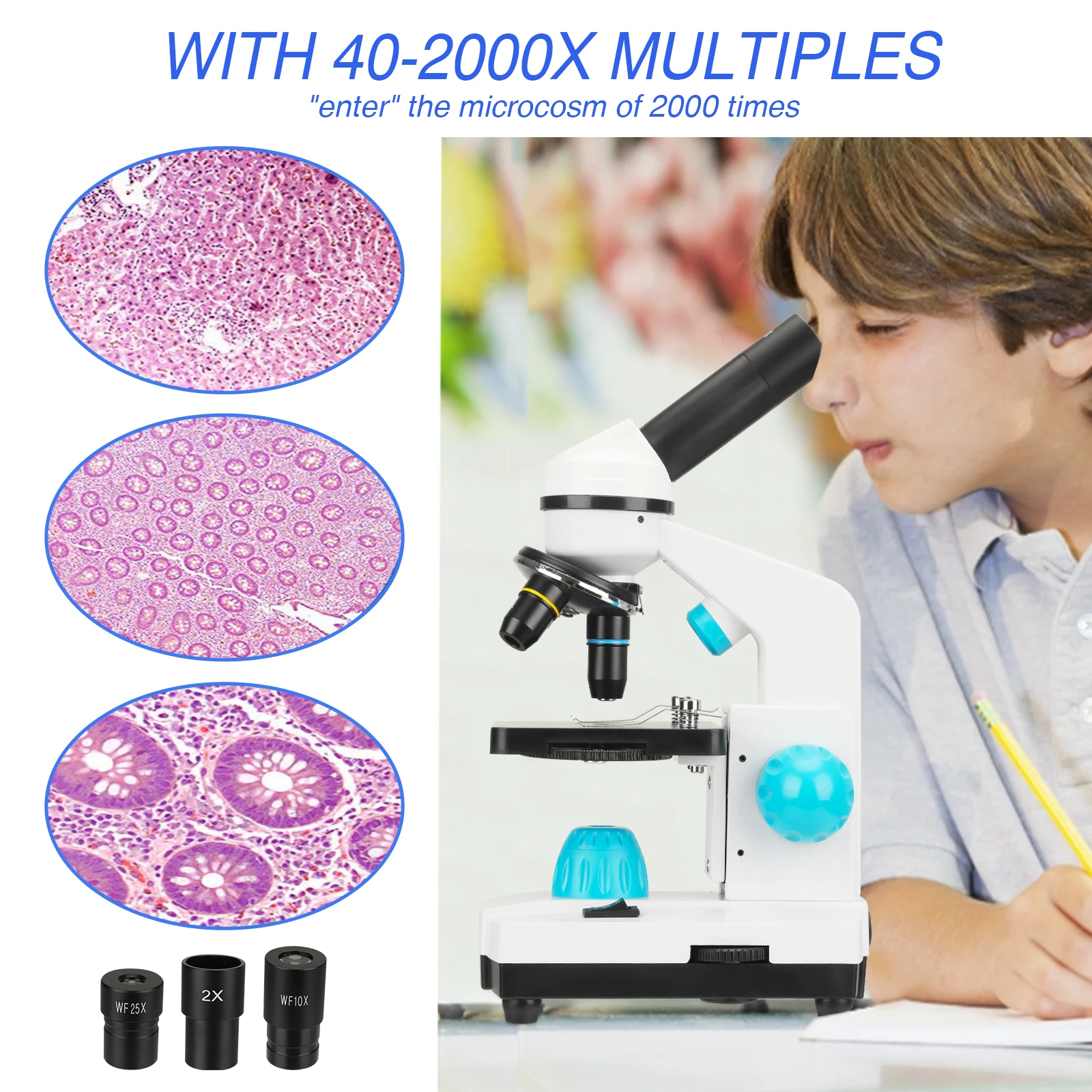 100-2000X Magnification Student Scientific Experiment Biological Microscope Kit Home School Educational Toys Gift For Children