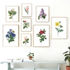 П. Дж. Винтажные плакаты и принты, Картина на холсте с изображением цветов и растений под старину для декора гостиной