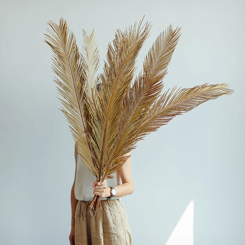 Dried Natural Plant Sago Cycas Branch Wedding Home Decor Fruticose Dracaena Leaf Dry Palm Fan Leaves Party Art Wall Hanging | Дом и сад