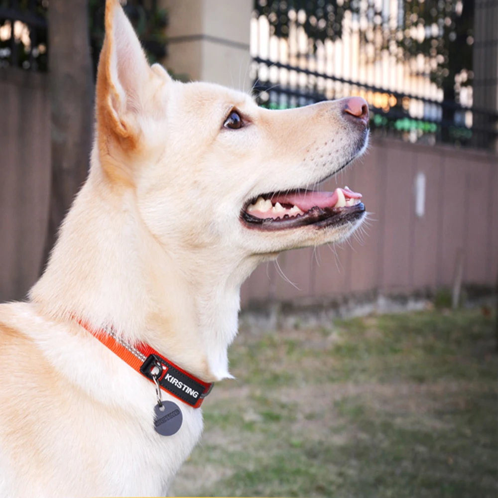 Регулируемый ошейник для собак 3 м нейлоновые Собачьи Ошейники со