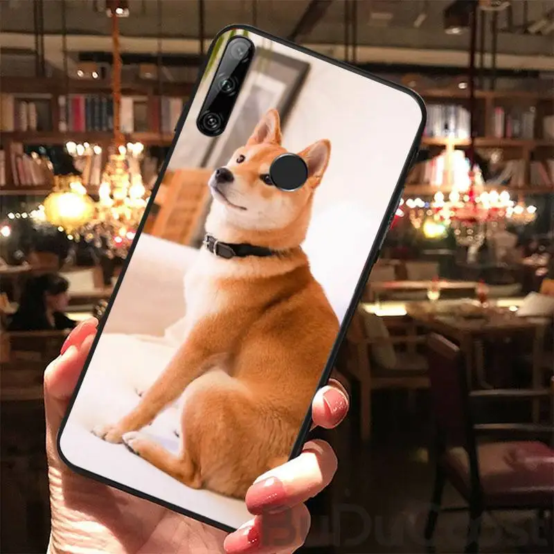 

Animal Shiba Inu Phone Case For Huawei Y5 Y6 Y7 Y9 Prime Pro II 2019 2018 Honor 8 8X 9 Lite View9