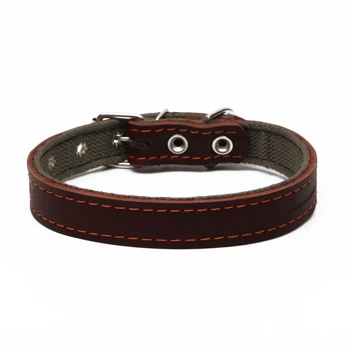 Ошейник комбинированный кожа/брезент 53 х 2.5 см ОШ 35-45 | Дом и сад