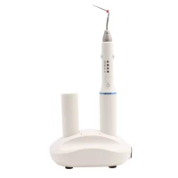 dental gutta percha obturation system endo heated pen cordless wireless with 4 tips and 2 batteries 110v220v white