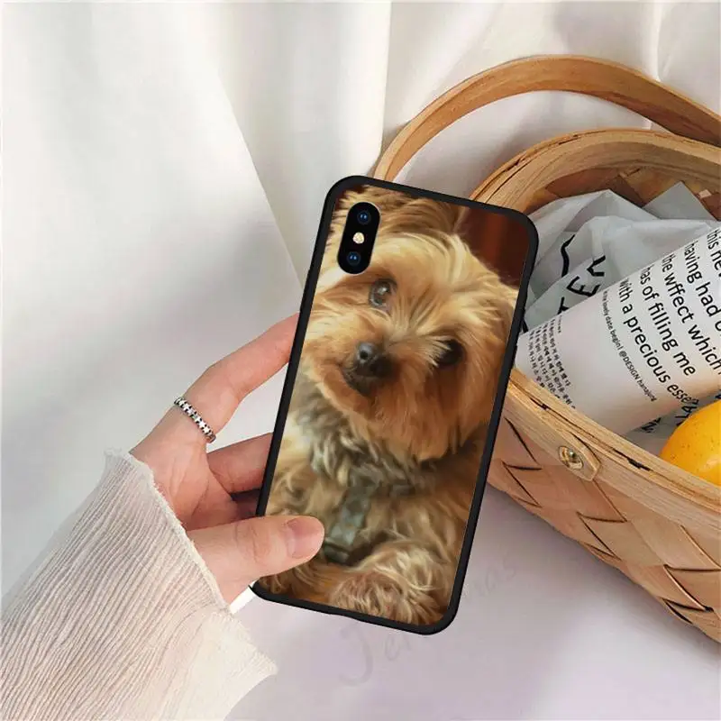 

Cute animal Mini Yorkshire Terrier Dog Phone Case for iPhone 11 12 mini pro XS MAX 8 7 6 6S Plus X 5S SE 2020 XR