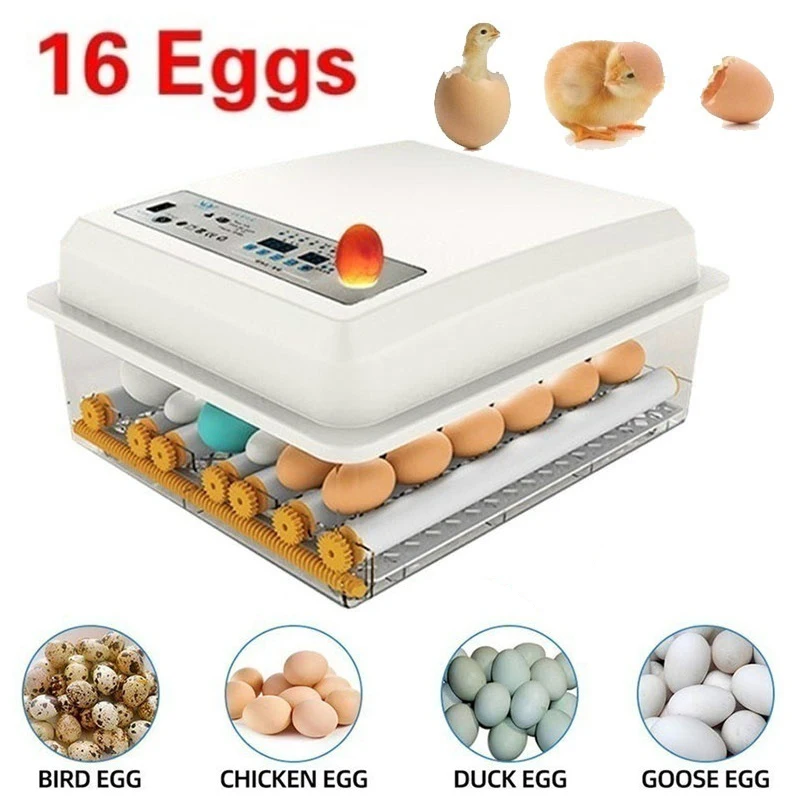 Инкубатор для инкубаторных яиц автоматический инкубатор с Тернером фермы