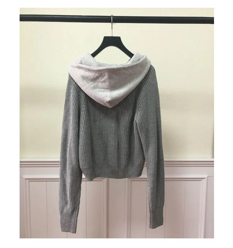 Women Hoodie2019 Autumn and Winter New Hooded Pullover Woolen Sweatshirt Knit Top Sweatshirt - Цвет: Серый