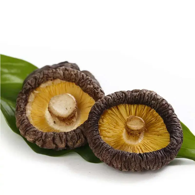 

Xiang Gu Shiitake Mushrooms Lentinus Edodes