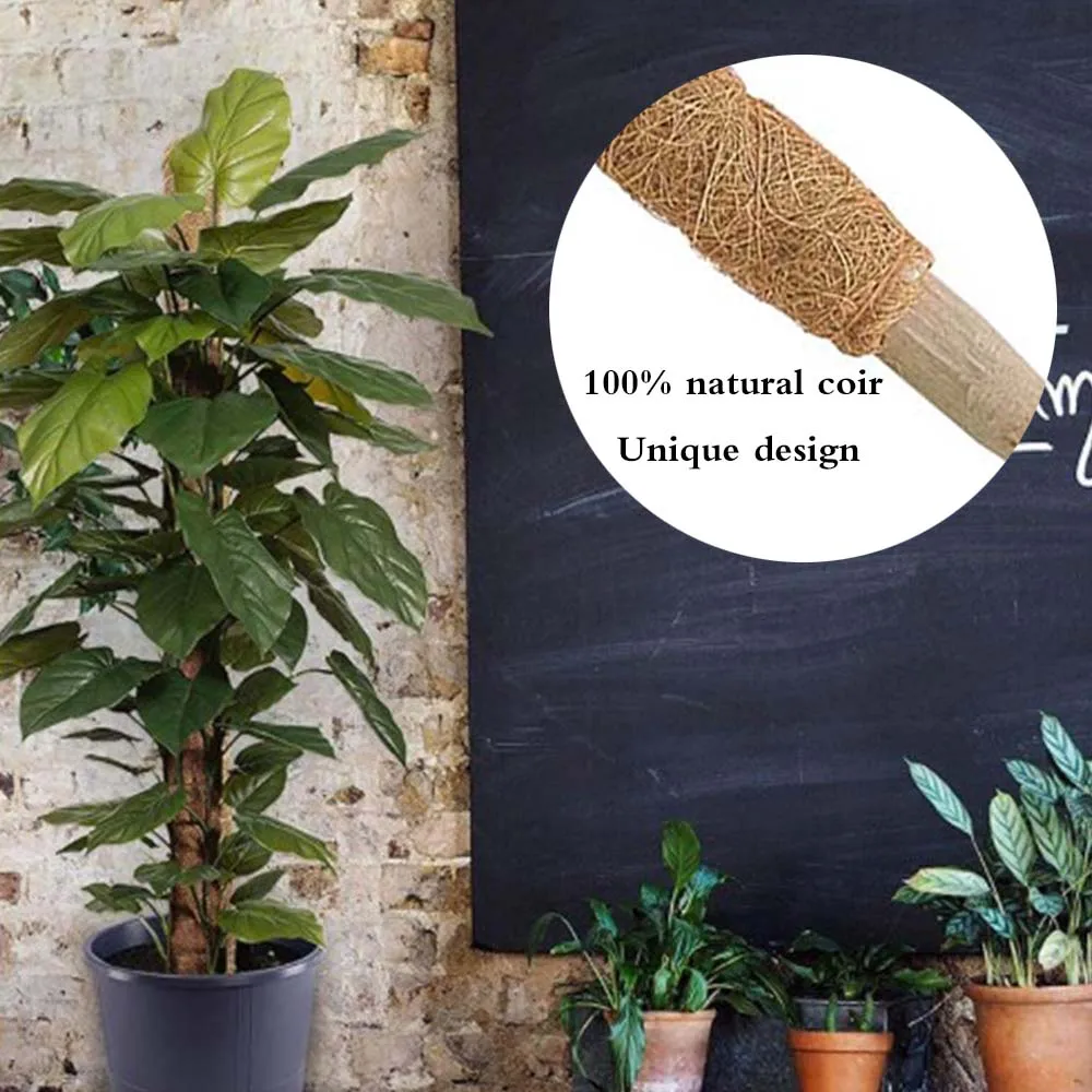 Опора для дома кокосовое волокно стойка подъема растений удлинитель офиса рама