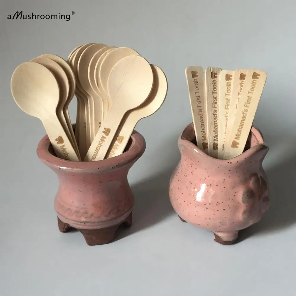 Индивидуальная Агра Hadig ложки для вечеринки Подарки На Заказ биоразлагаемые Мини