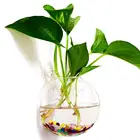 Горшок для растений настенная подвесная аквариумная чаша аквариумные принадлежности для водных питомцев товары для домашних животных настенное крепление для аквариума домашнее украшение
