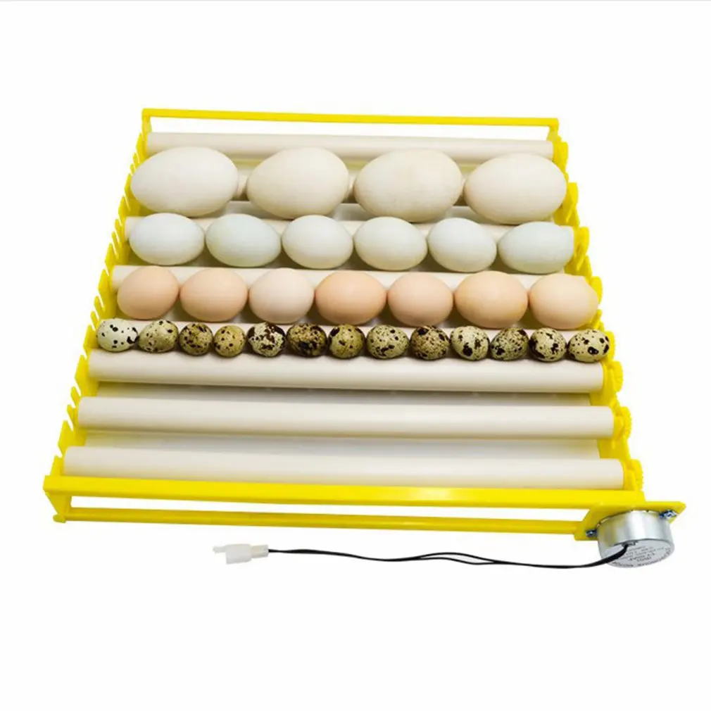 

Plastic Eggs Incubator Accessories Durable Rotary Automatic Roller Pattern Egg Turner Tray Household Egg Tray