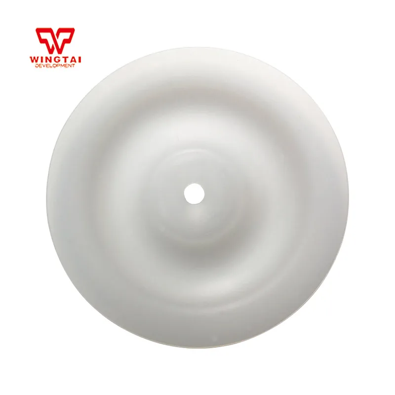 

PTFE/SP Membrane Spare Parts for Pneumatic Diaphragm Pump