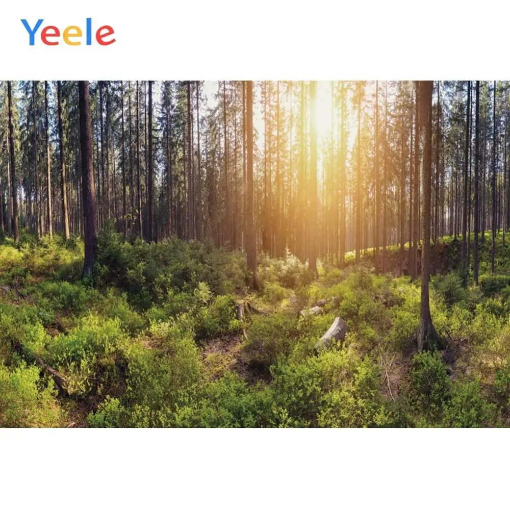

Yeele Landscape Photocall Forest Lawn Sunshine Wood Photography Backdrops Personalized Photographic Backgrounds For Photo Studio
