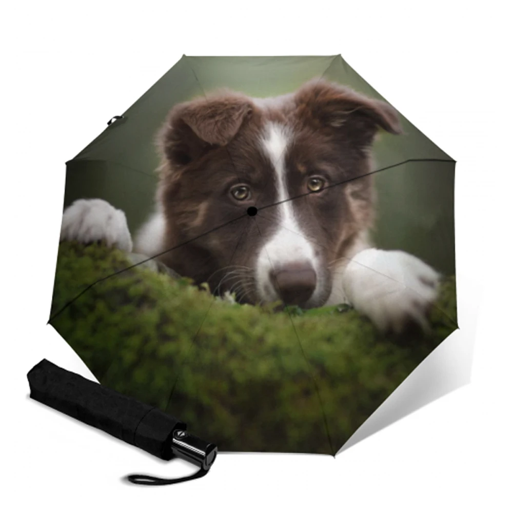 Зонт складной женский Автоматический с 8 ребрами от солнца и дождя|Зонтики| |