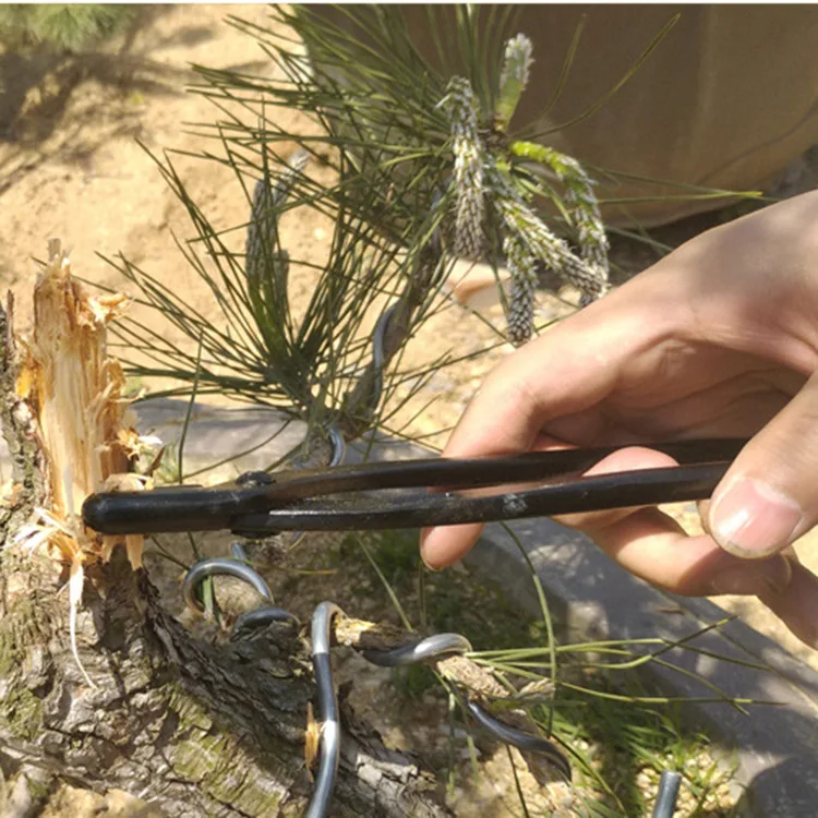 

Bonsai styling tool set Gardening tool set Combination tool Root, shoot and sprout shear set