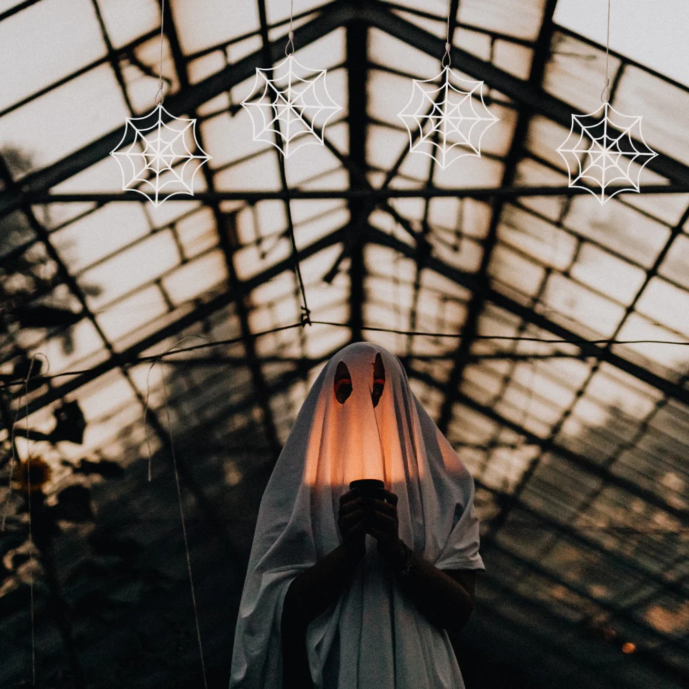 

12pcs Spider Webs Decorative Cobwebs Fun Ornaments (Assorted Color)