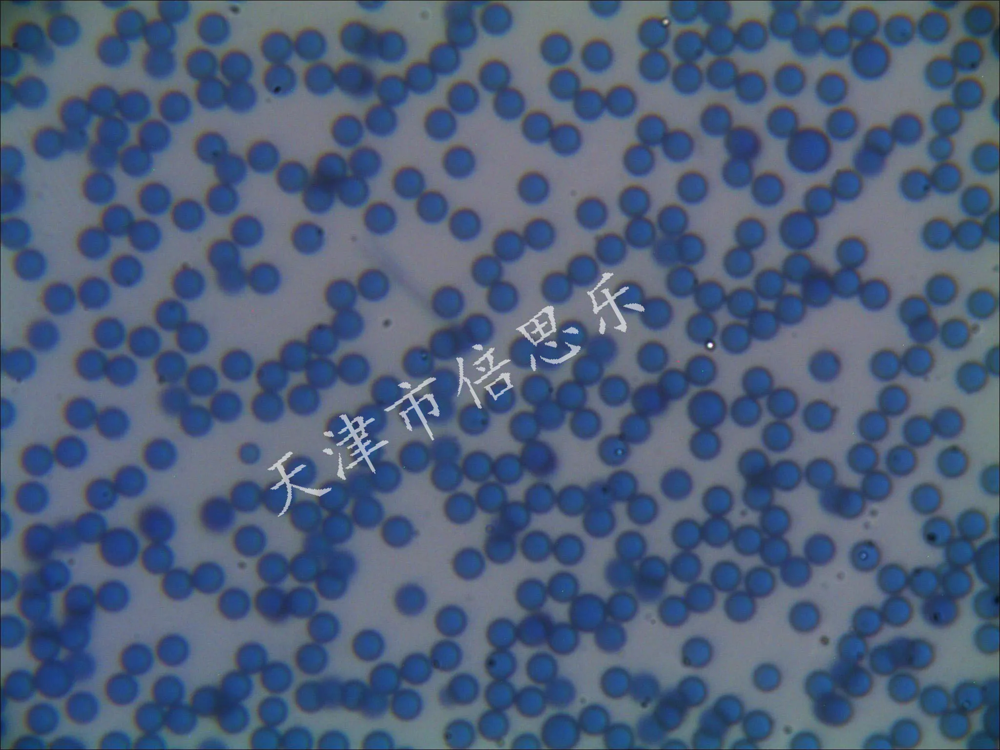 Монодисперсные цветные латексные микросферы/красный синий желтый