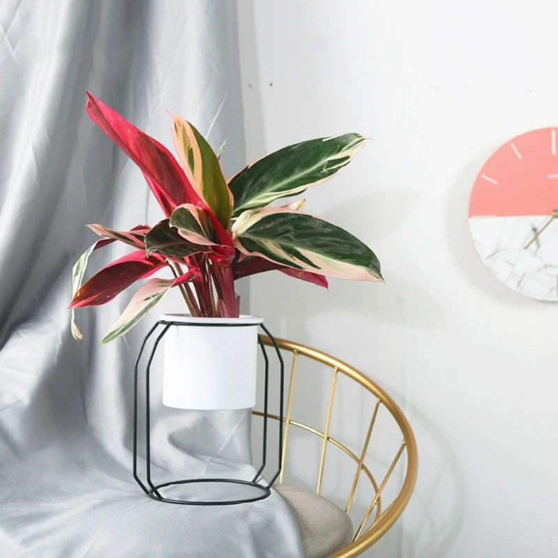 Y1UU металлическая подставка для растений с железным держателем цветочных горшков