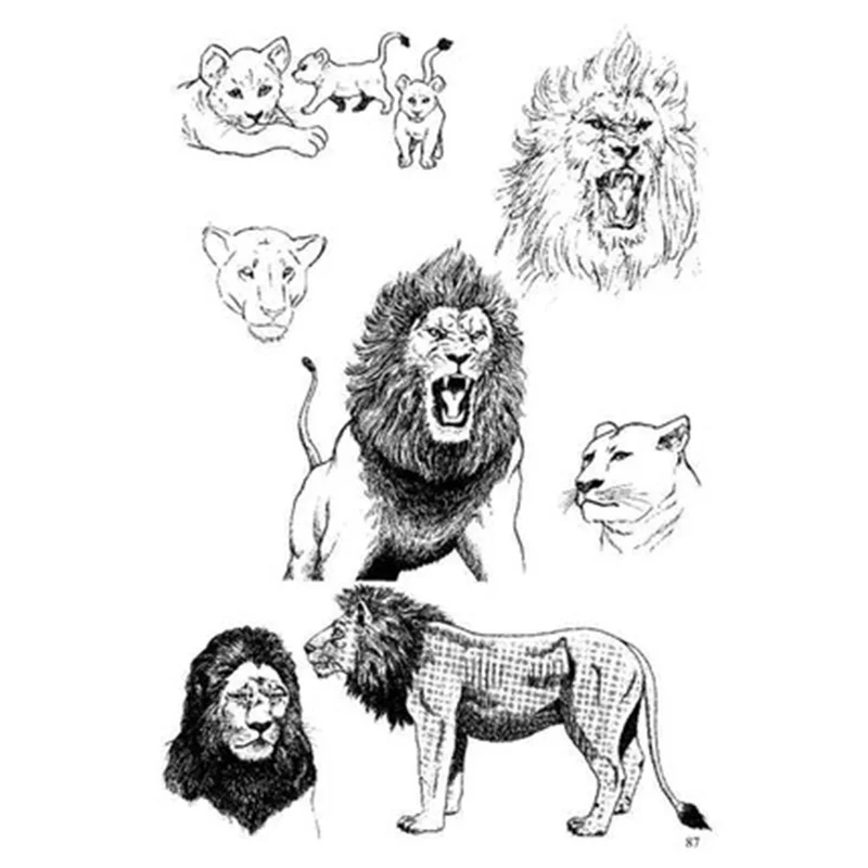 Zero basics Рисование комиксов эскиз техника аниме ручная роспись книга запись