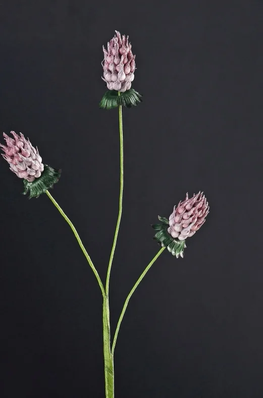 DIY проекты домашний декор Цветочная композиция материал натуральный сушеный