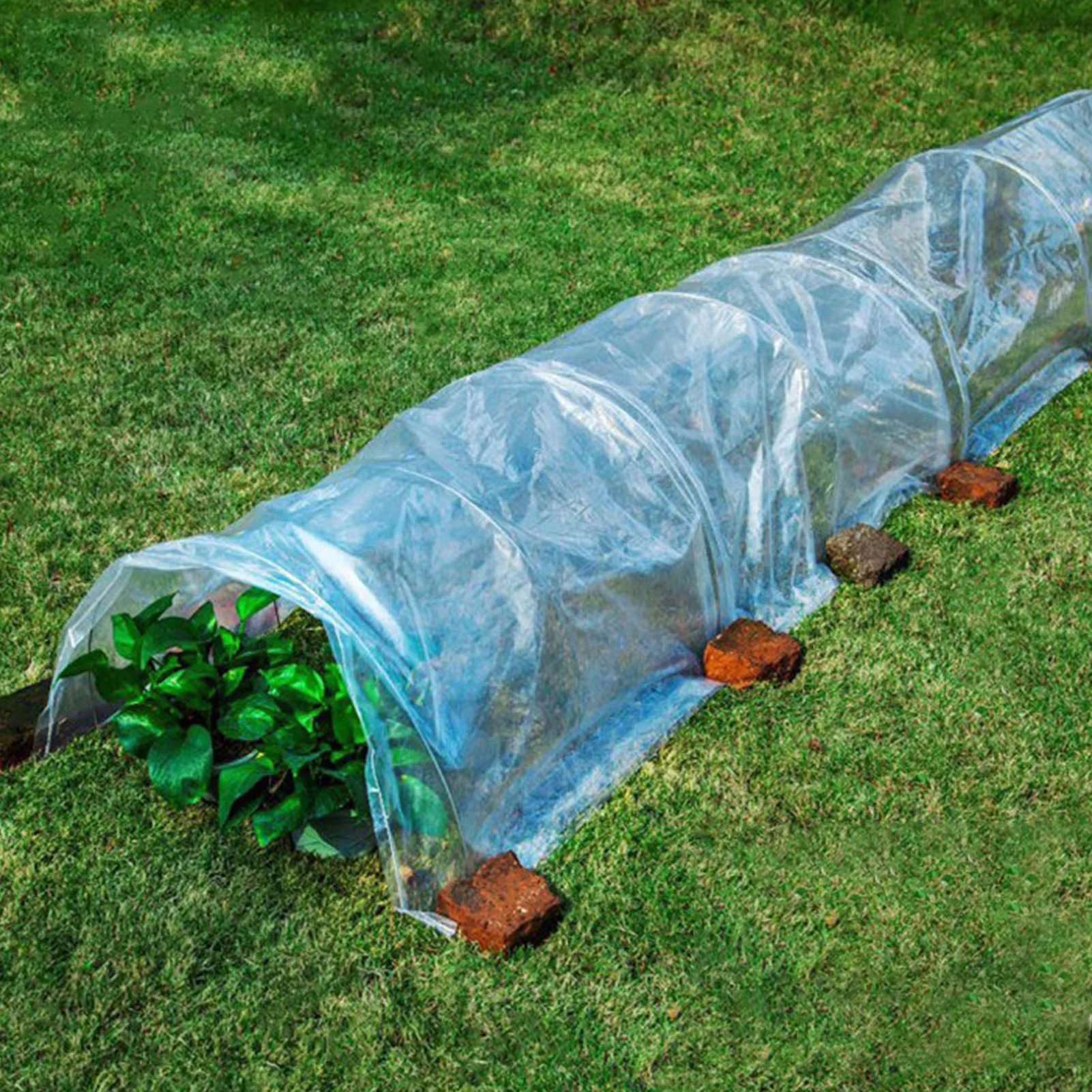 

Garden Tunnel Greenhouse Plants Grow House Steel Hothouse Cold-proof Plant Warm Room Ventilated Plant Insulation Cover Cold