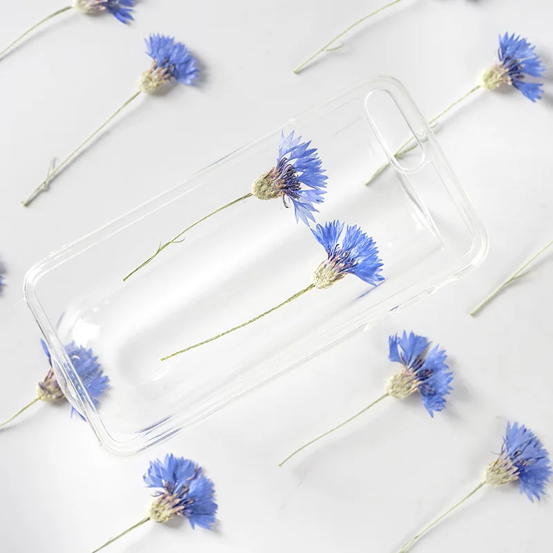 

120pcs Pressed Dried Cornflower Flower With Stem Plants Herbarium For Epoxy Resin Jewelry Making Makeup Nail Art Craft