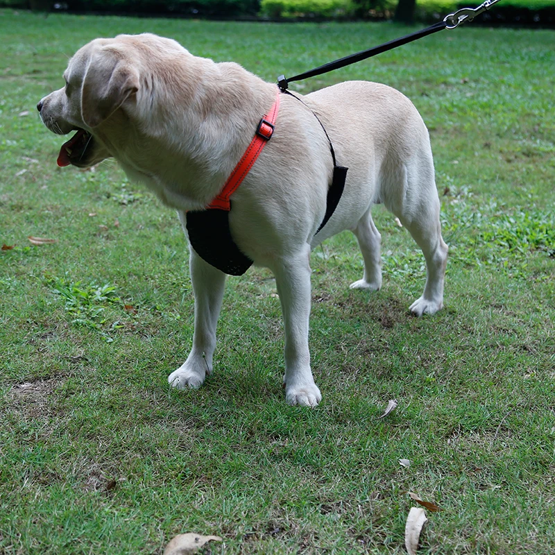 Не вытягивающий поводок для собак не сетчатый домашних животных|Наборы| |