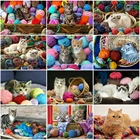 Набор для алмазной вышивки MomoArt, мозаика сделай сам в виде кошки, животного, полная картина из квадратных страз, шерстяной Набор для вышивки крестиком, украшение для дома