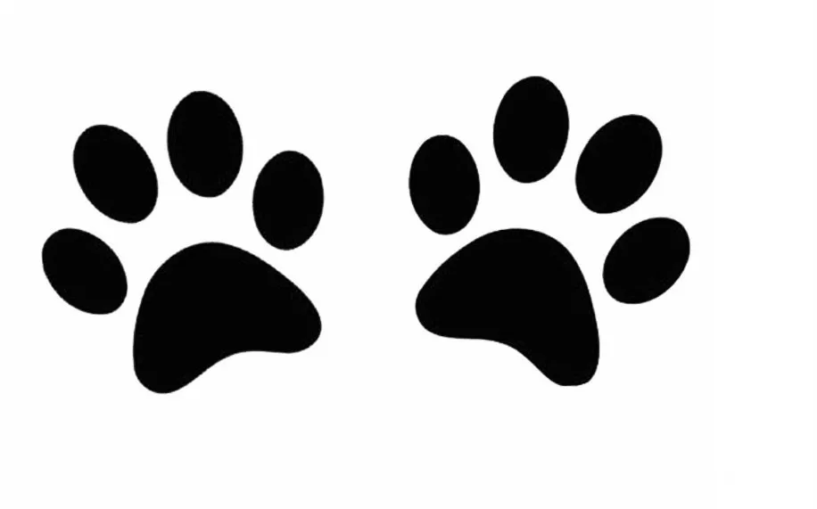 Автомобильная наклейка Виниловая отражающая собачья лапа 3D животное собака