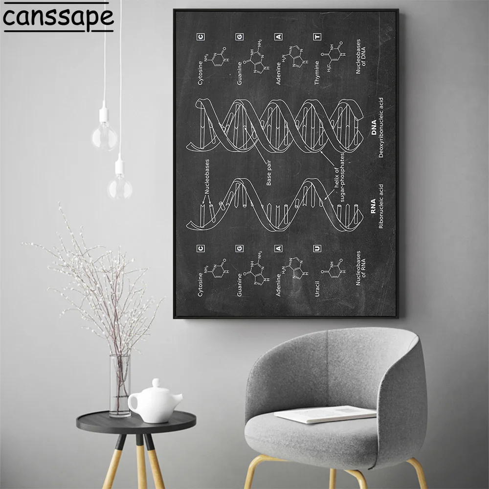 Плакат ДНК биология искусство принт генетика холст плакаты винтажные чертежи